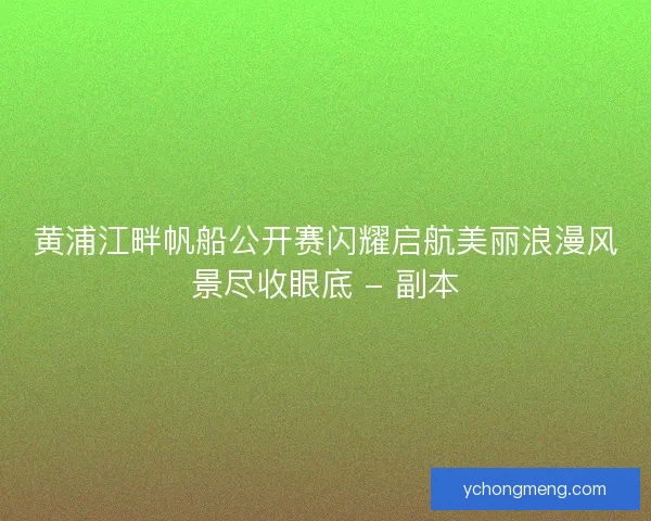 黄浦江畔帆船公开赛闪耀启航美丽浪漫风景尽收眼底 - 副本