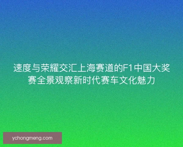 速度与荣耀交汇上海赛道的F1中国大奖赛全景观察新时代赛车文化魅力