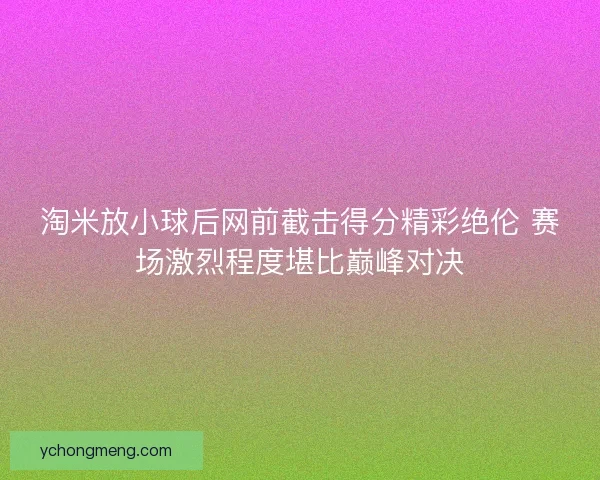 淘米放小球后网前截击得分精彩绝伦 赛场激烈程度堪比巅峰对决
