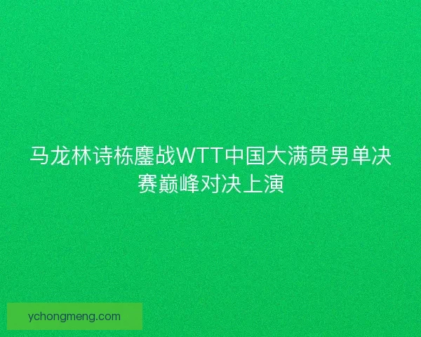 马龙林诗栋鏖战WTT中国大满贯男单决赛巅峰对决上演