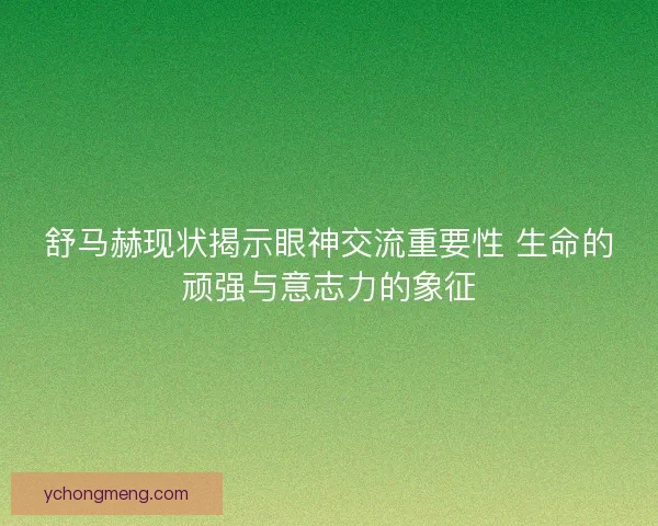 舒马赫现状揭示眼神交流重要性 生命的顽强与意志力的象征