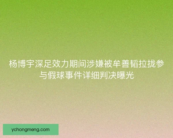 杨博宇深足效力期间涉嫌被牟善韬拉拢参与假球事件详细判决曝光 杨博宇深足效力期间涉嫌被牟善韬拉拢参与假球事件详细判决曝光